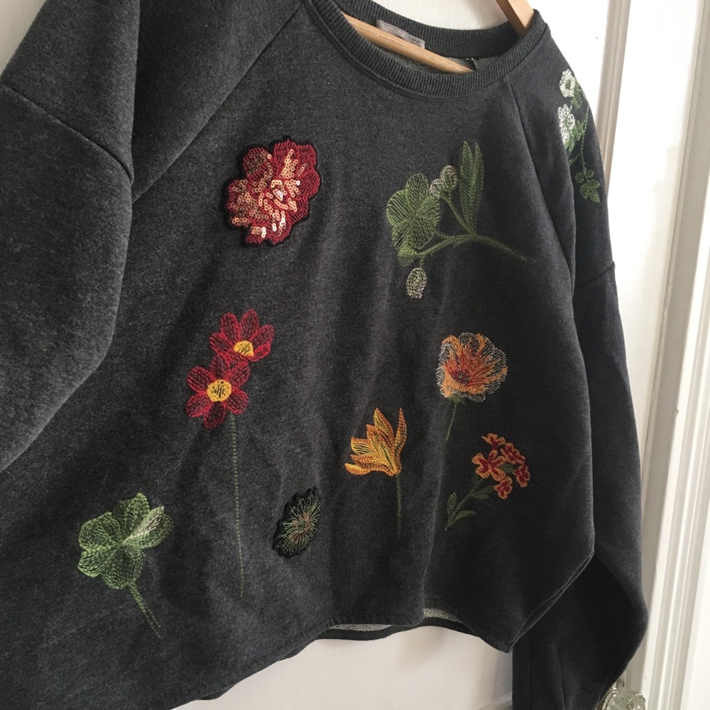 Zara Cropped Embroidered Sweatshirt